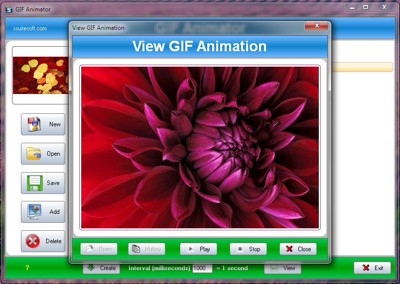 Gif Animator, Movie and Slide Show Creator - SSuite Office